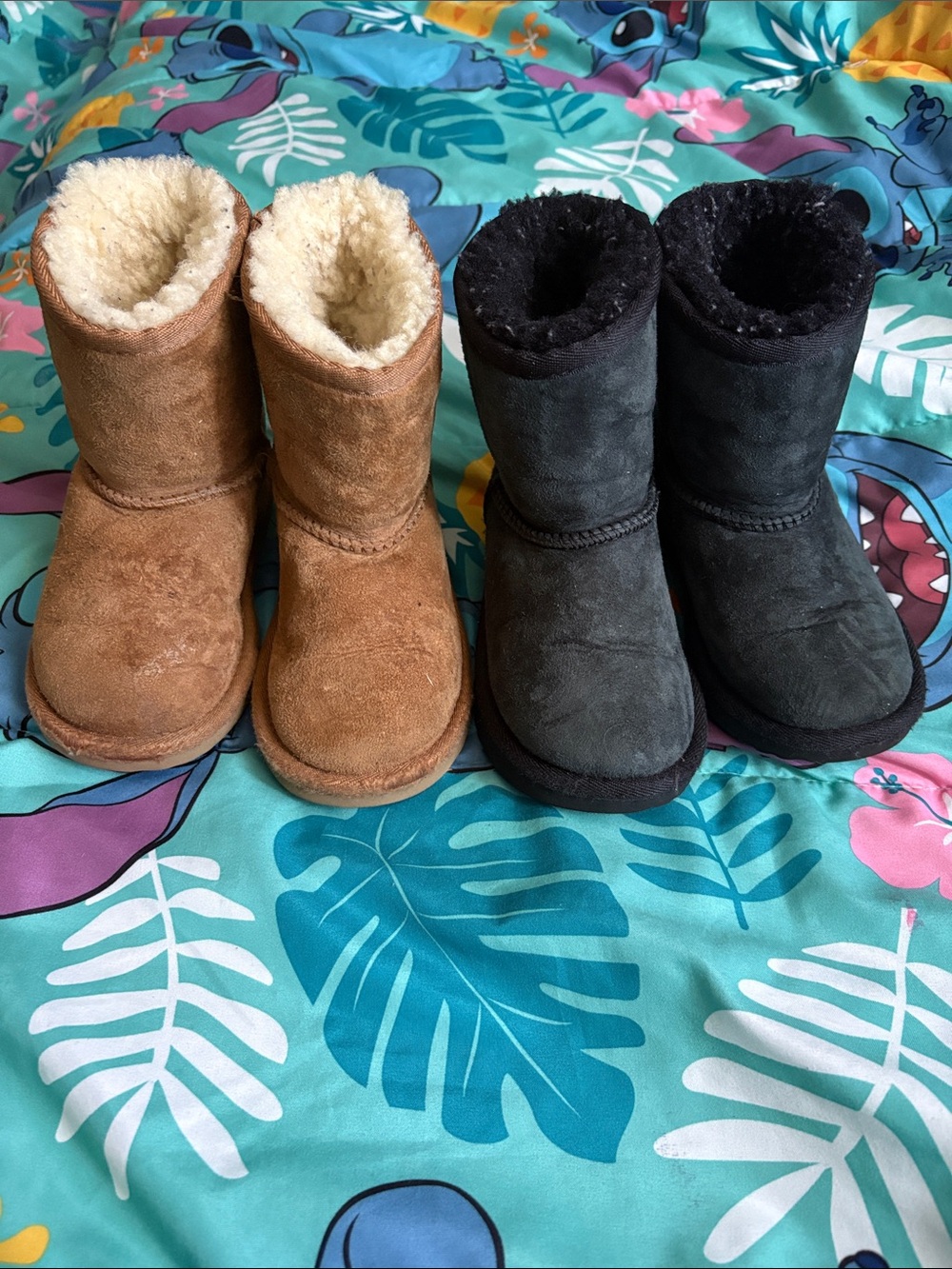 UGG Classic Short Boots - Chestnut and Black Pairs - Picture 2 of 16